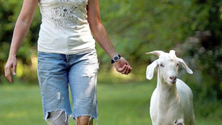 Doctor Makes Prosthetic Limbs For Woman & Her Pet Goat